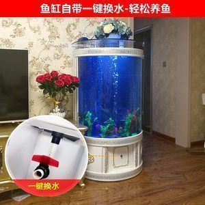 龍魚每天開燈幾個小時（龍魚每天開燈幾個小時合適）（養龍魚的注意事項）