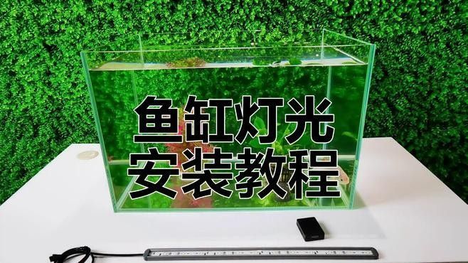金龍魚燈光安裝視頻教程（金龍魚魚缸燈光安裝視頻教程）