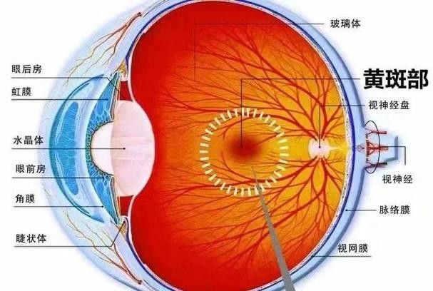 如何去除遮光板上的黃斑？（如何去除遮光板上的黃斑）