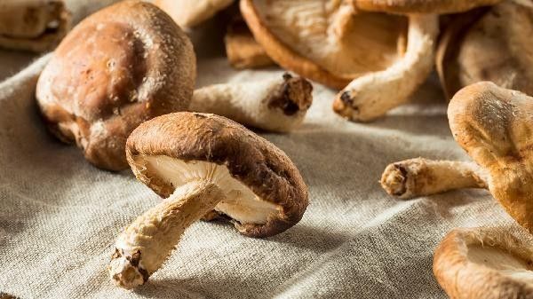 如何判斷食物是否徹底煮熟？（如何判斷食物是否徹底煮熟，3招教你精準判斷食物是否徹底煮熟）