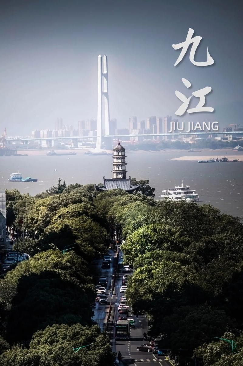 九江縣哪個水族館龍魚好？祥龍魚場龍魚（九江縣祥龍魚場）