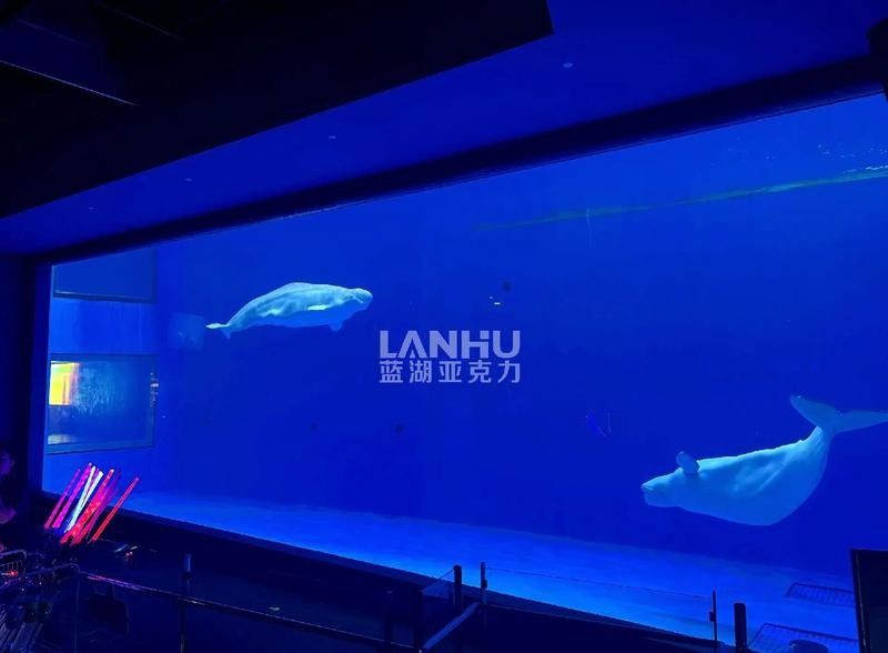 如何設計一個大型龍魚缸