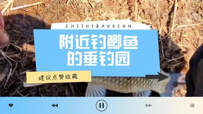 龍魚垂釣園地址在哪里？（廣州龍魚垂釣園）