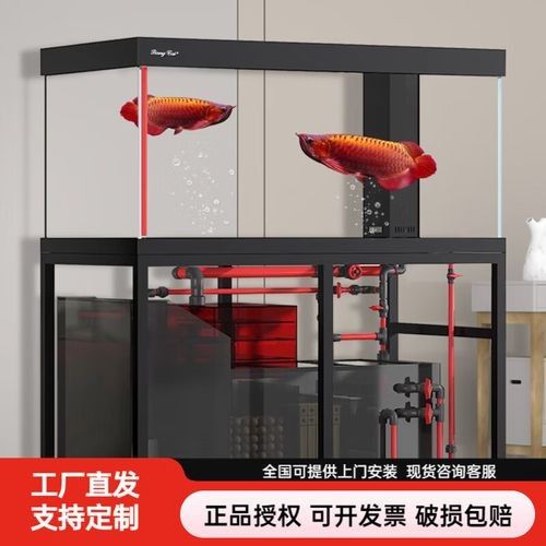 龍魚精養缸的價格是多少
