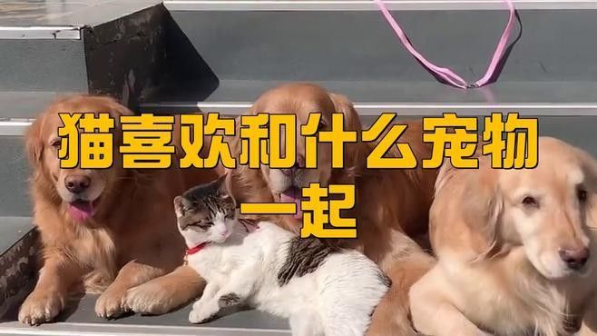 哪些動物適合混養(yǎng)？