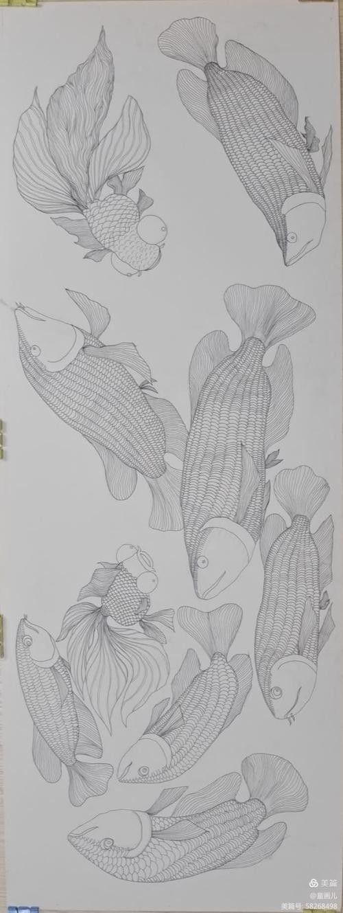 給我一張金龍魚素描圖片參考 給我一張金龍魚素描圖片參考 龍魚百科 第14張