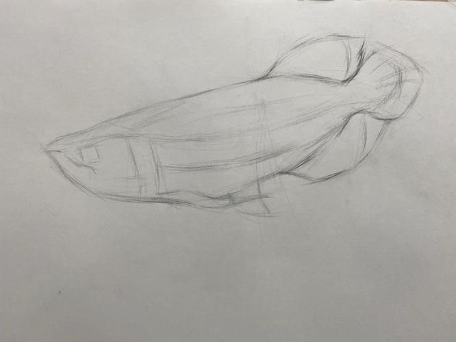 給我一張金龍魚素描圖片參考 給我一張金龍魚素描圖片參考 龍魚百科 第22張