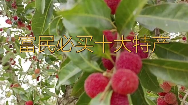 富民鱒龍魚村有哪些特色菜品？ 富民鱒龍魚村有哪些特色菜品？ 龍魚百科 第1張