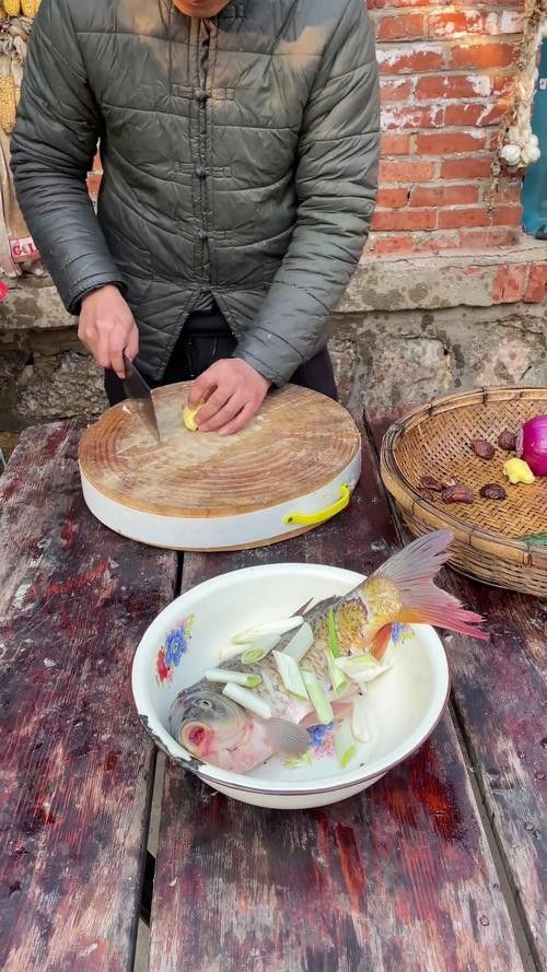 哪些蔬菜可以喂給火龍魚（哪些蔬菜可以喂給火龍魚，熱帶魚飼養(yǎng)指南） 哪些蔬菜可以喂給火龍魚（哪些蔬菜可以喂給火龍魚，熱帶魚飼養(yǎng)指南） 龍魚百科 第2張