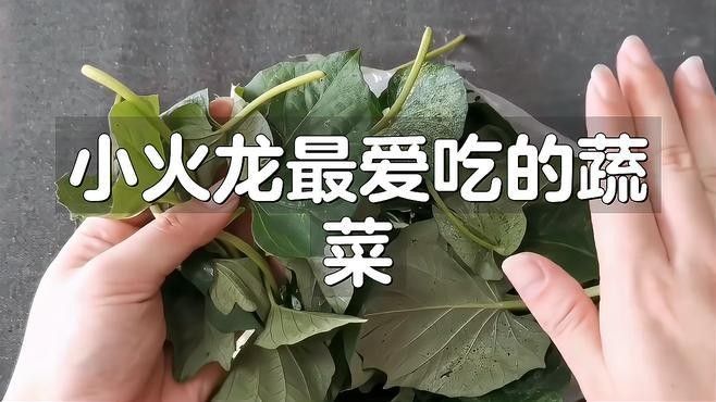 哪些蔬菜可以喂給火龍魚（哪些蔬菜可以喂給火龍魚，熱帶魚飼養(yǎng)指南） 哪些蔬菜可以喂給火龍魚（哪些蔬菜可以喂給火龍魚，熱帶魚飼養(yǎng)指南） 龍魚百科 第1張