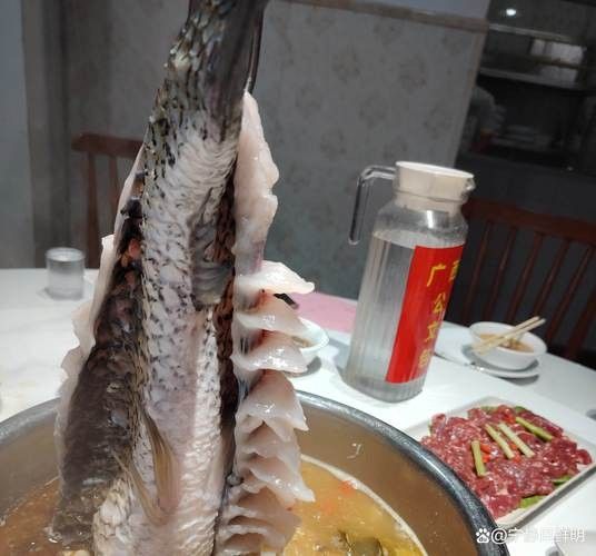 哪些蔬菜可以喂給火龍魚（哪些蔬菜可以喂給火龍魚，熱帶魚飼養(yǎng)指南） 哪些蔬菜可以喂給火龍魚（哪些蔬菜可以喂給火龍魚，熱帶魚飼養(yǎng)指南） 龍魚百科 第4張