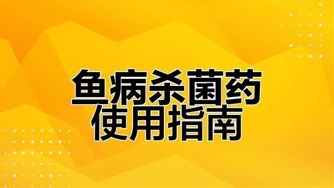 龍魚和蝴蝶鯉混養有哪些注意事項？