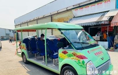 芳村花鳥魚蟲市場搬哪里了呢最近 芳村花鳥魚蟲市場搬哪里了呢最近 觀賞魚百科 第4張