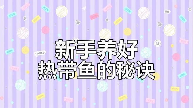 有哪些適合新手的熱帶魚 有哪些適合新手的熱帶魚 龍魚百科 第13張