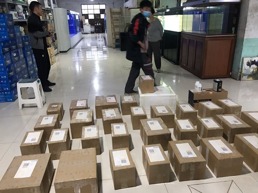 駐馬店觀賞魚市場(chǎng)發(fā)往全國(guó)各地的銘龍專用魚糧（銘龍專用魚糧基本售空）