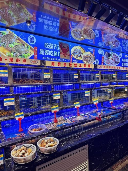 華強北哪里可以買到龍魚？ 華強北哪里可以買到龍魚？ 龍魚百科 第3張