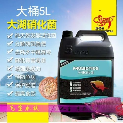 速倍妥有哪些熱銷產品？ 速倍妥有哪些熱銷產品？ 龍魚百科 第3張
