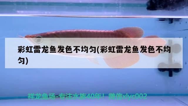 魚缸過濾器選購指南:自制魚缸過濾器魚缸上置過濾器對于養(yǎng)魚愛好者的必備知識 彩虹雷龍魚發(fā)色不均勻(彩虹雷龍魚發(fā)色不均勻) 觀賞魚百科 彩虹雷龍魚發(fā)色不均勻(彩虹雷龍魚發(fā)色不均勻) 彩虹雷龍魚發(fā)色不均勻(彩虹雷龍魚發(fā)色不均勻) 觀賞魚百科