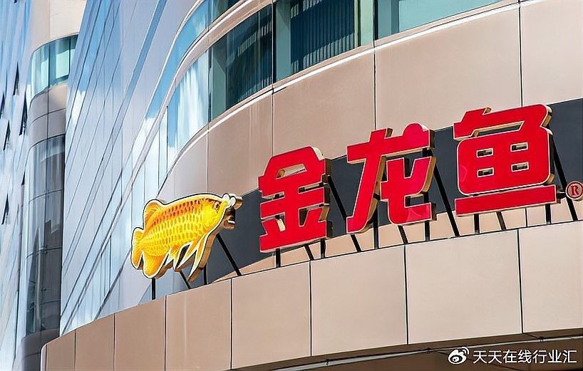 金龍魚種植商的利潤如何（金龍魚種植商利潤情況分析） 金龍魚種植商的利潤如何（金龍魚種植商利潤情況分析） 龍魚百科 第3張