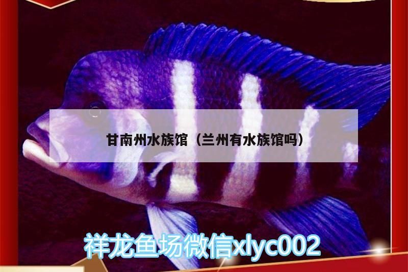 甘南州水族館（蘭州有水族館嗎）
