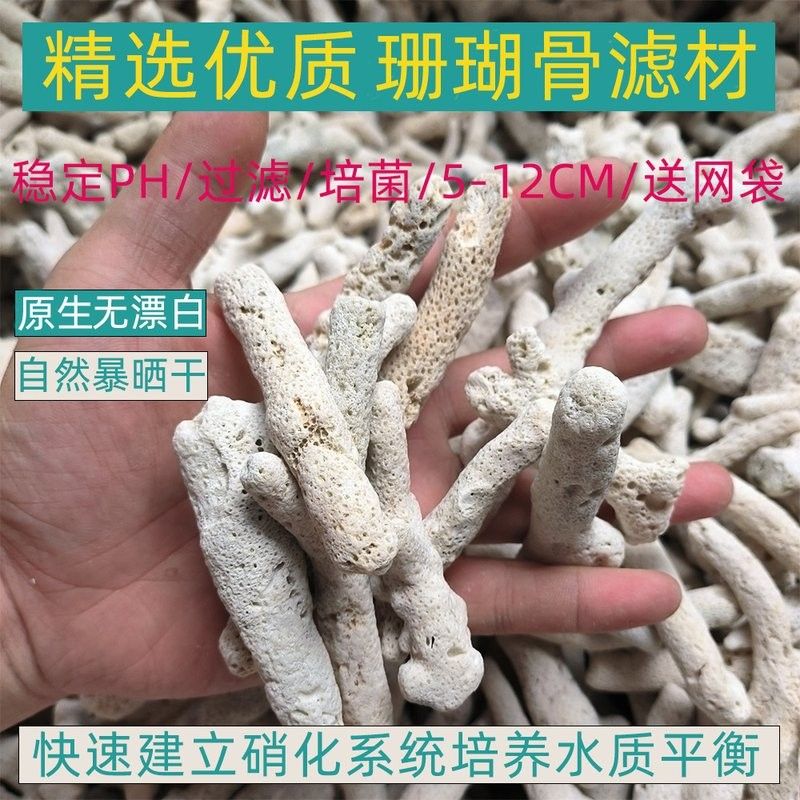 臨沂龍魚電子科技主要產品有哪些（臨沂龍魚電子科技有限公司）