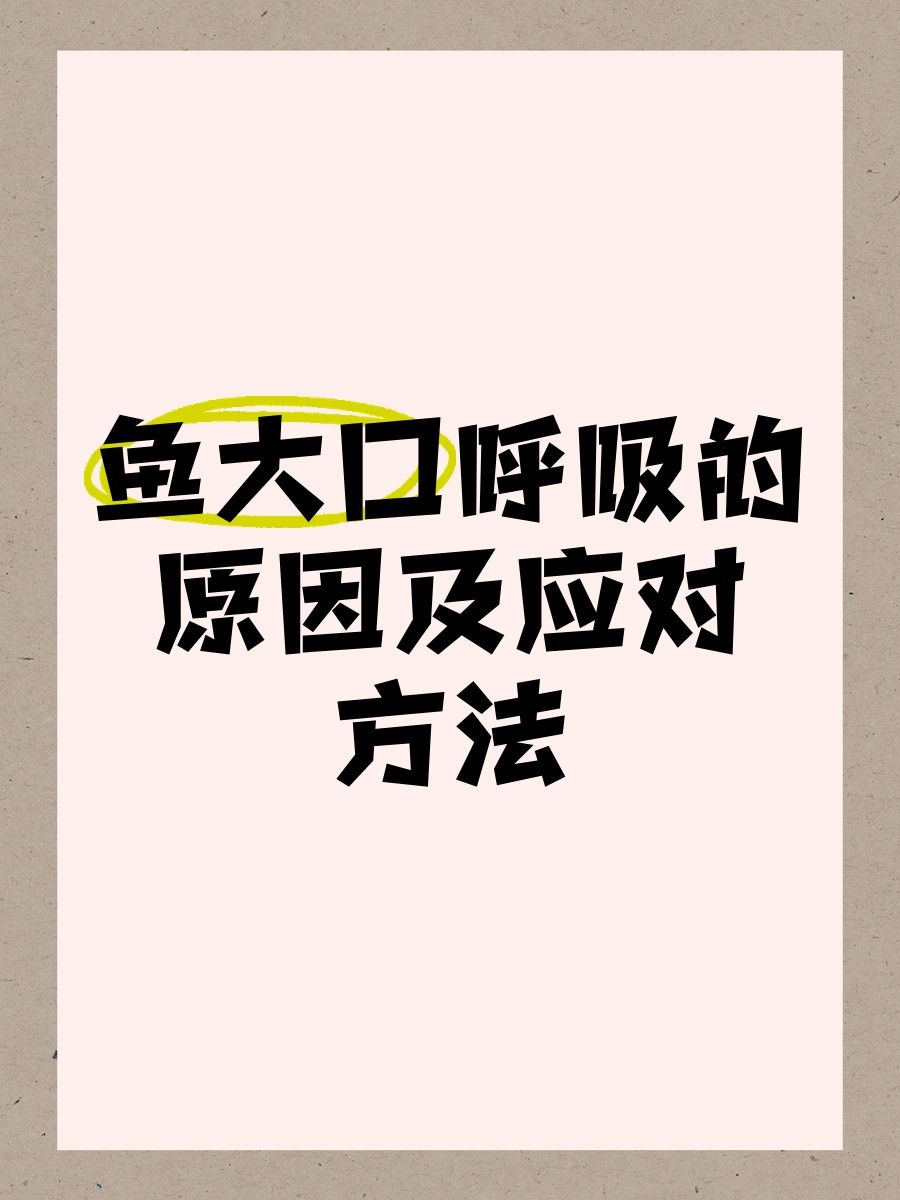 龍魚張嘴呼吸需要立即換水嗎