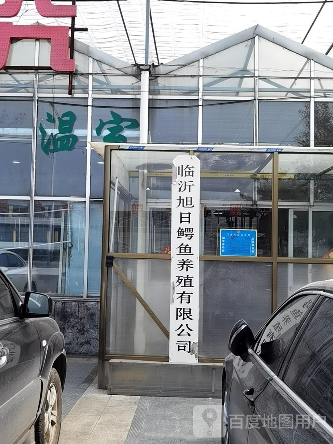 如何聯系臨沂龍魚養殖基地