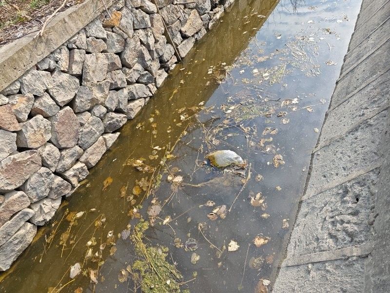 江輝亮如何控制水質？（智慧水務云平臺江輝亮成功研發出高效水質凈化技術）