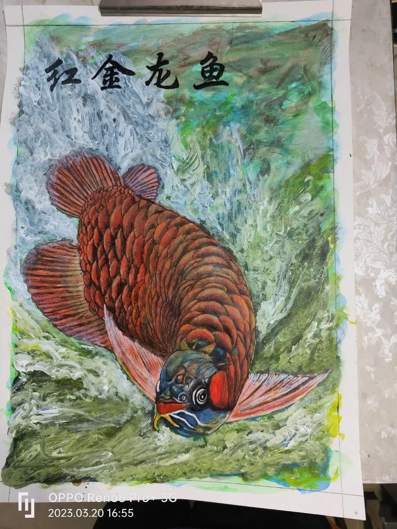 推薦一些紅金龍魚高清靜態壁紙（36種紅金龍魚高清靜態壁紙推薦，36種紅龍你見過一半） 推薦一些紅金龍魚高清靜態壁紙（36種紅金龍魚高清靜態壁紙推薦，36種紅龍你見過一半） 龍魚百科 第14張
