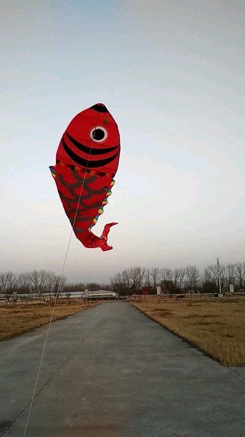 推薦一些紅金龍魚高清靜態壁紙（36種紅金龍魚高清靜態壁紙推薦，36種紅龍你見過一半） 推薦一些紅金龍魚高清靜態壁紙（36種紅金龍魚高清靜態壁紙推薦，36種紅龍你見過一半） 龍魚百科 第26張