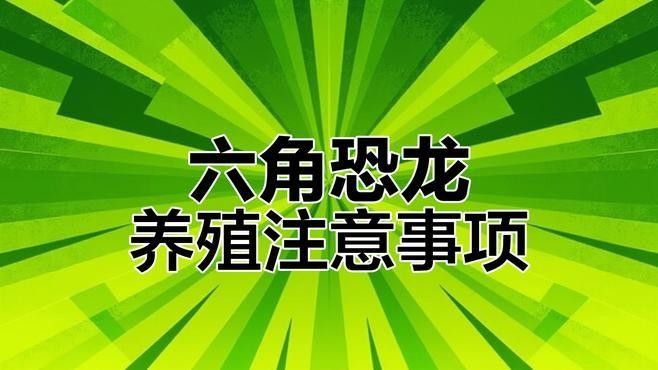 如何設置六角龍魚的繁殖環境 如何設置六角龍魚的繁殖環境 龍魚百科 第5張
