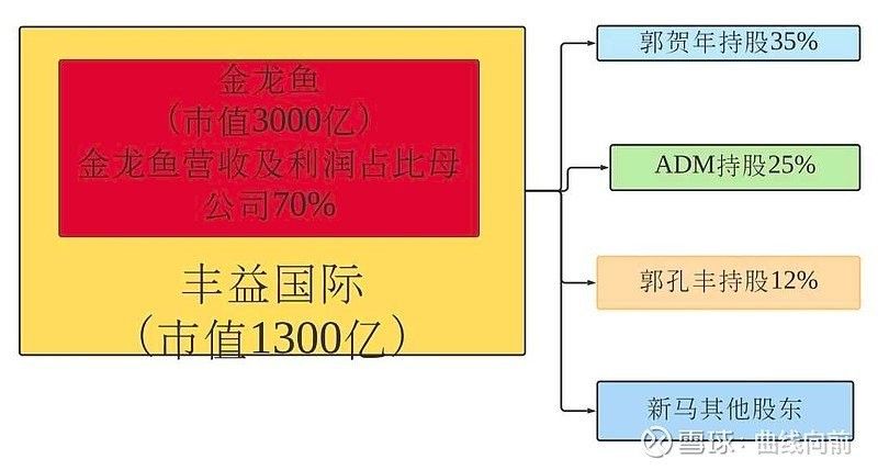 郭孔豐在金龍魚持股比例是多少（郭孔豐在金龍魚持股比例的探究） 郭孔豐在金龍魚持股比例是多少（郭孔豐在金龍魚持股比例的探究） 龍魚百科 第1張