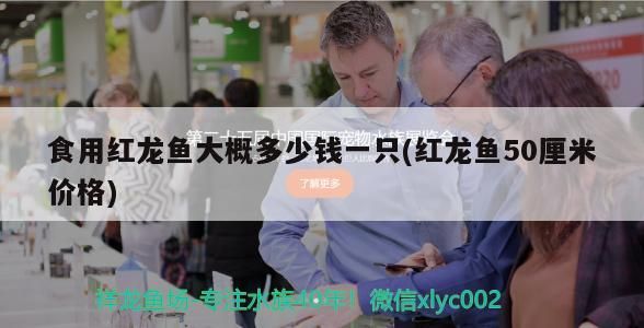食用紅龍魚(yú)大概多少錢(qián)一只(紅龍魚(yú)50厘米價(jià)格)（紅龍魚(yú)50厘米價(jià)格、食用紅龍魚(yú)大概多少錢(qián)一只的信息別忘了查找）