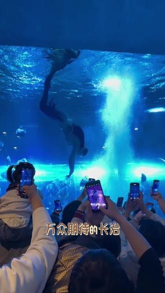 潞城哪個水族館龍魚好？祥龍魚場龍魚（城祥龍魚場以其優質的龍魚品種和專業的養殖技術和專業的養殖技術而聞名）