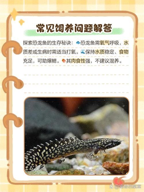 給我一些恐龍魚吃食的圖片(關于恐龍魚喂食的相關信息) 龍魚百科 第39張 給我一些恐龍魚吃食的圖片(關于恐龍魚喂食的相關信息) 給我一些恐龍魚吃食的圖片(關于恐龍魚喂食的相關信息) 龍魚百科 第39張