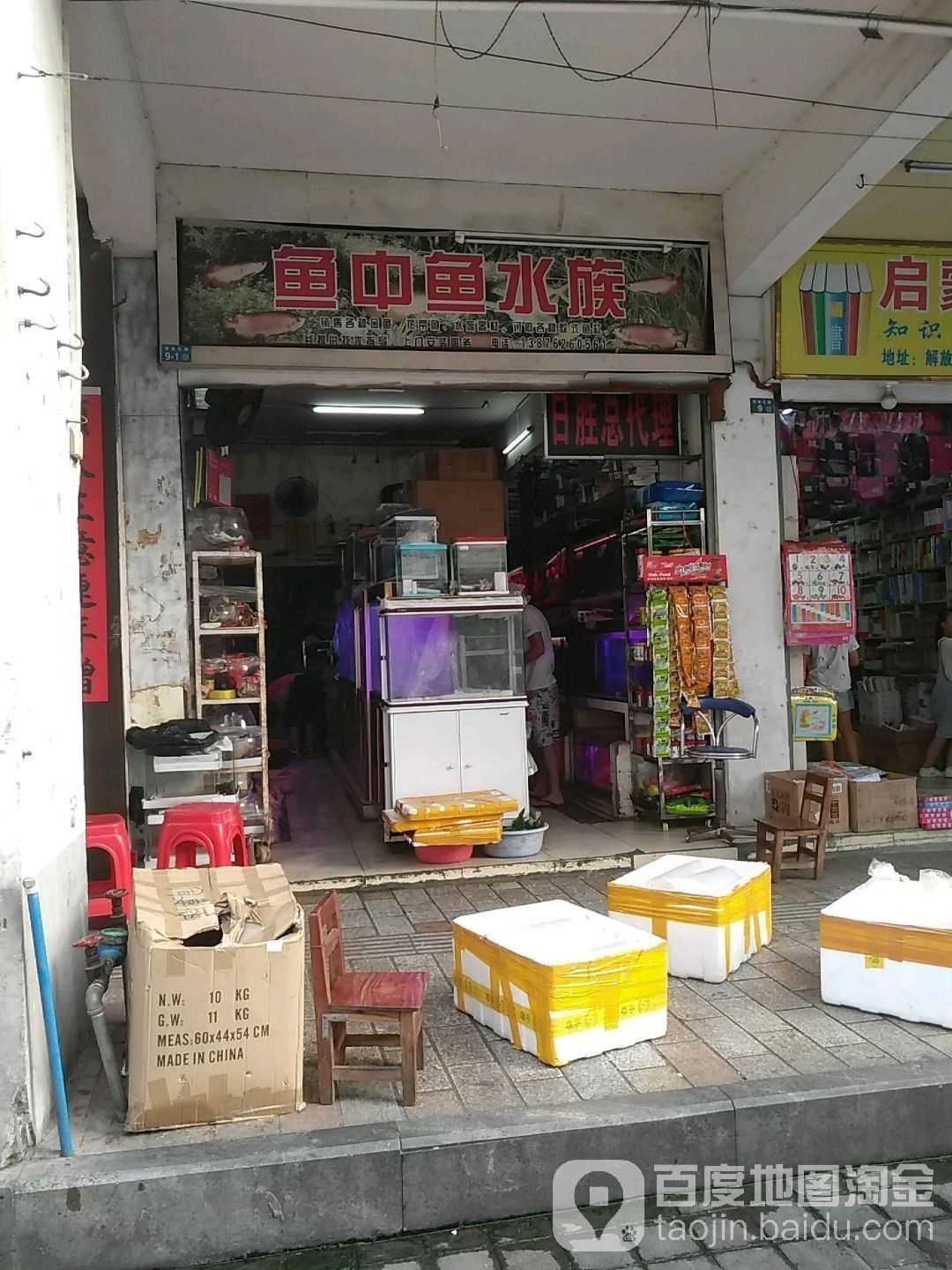 海口哪個(gè)水族館龍魚(yú)好？祥龍魚(yú)場(chǎng)龍魚(yú)（海南省海口市祥龍魚(yú)場(chǎng)） 海口哪個(gè)水族館龍魚(yú)好？祥龍魚(yú)場(chǎng)龍魚(yú)（海南省海口市祥龍魚(yú)場(chǎng)） 龍魚(yú)百科 第7張