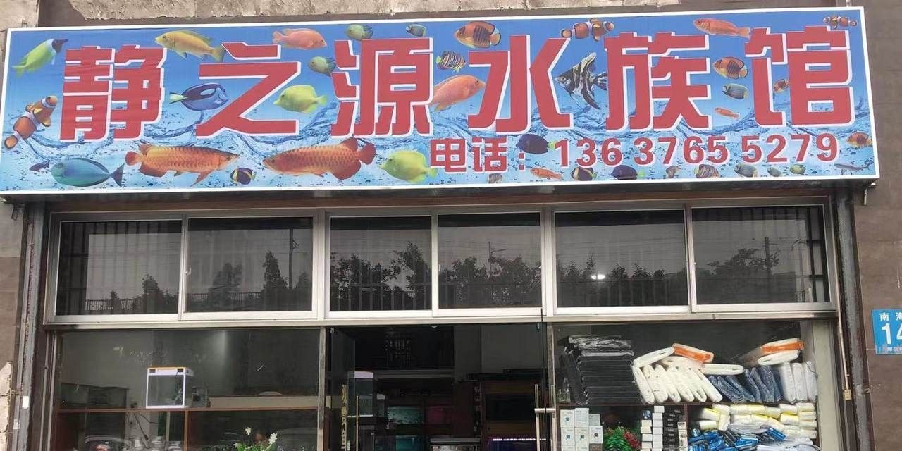 海口哪個(gè)水族館龍魚(yú)好？祥龍魚(yú)場(chǎng)龍魚(yú)（海南省海口市祥龍魚(yú)場(chǎng)） 海口哪個(gè)水族館龍魚(yú)好？祥龍魚(yú)場(chǎng)龍魚(yú)（海南省海口市祥龍魚(yú)場(chǎng)） 龍魚(yú)百科 第8張