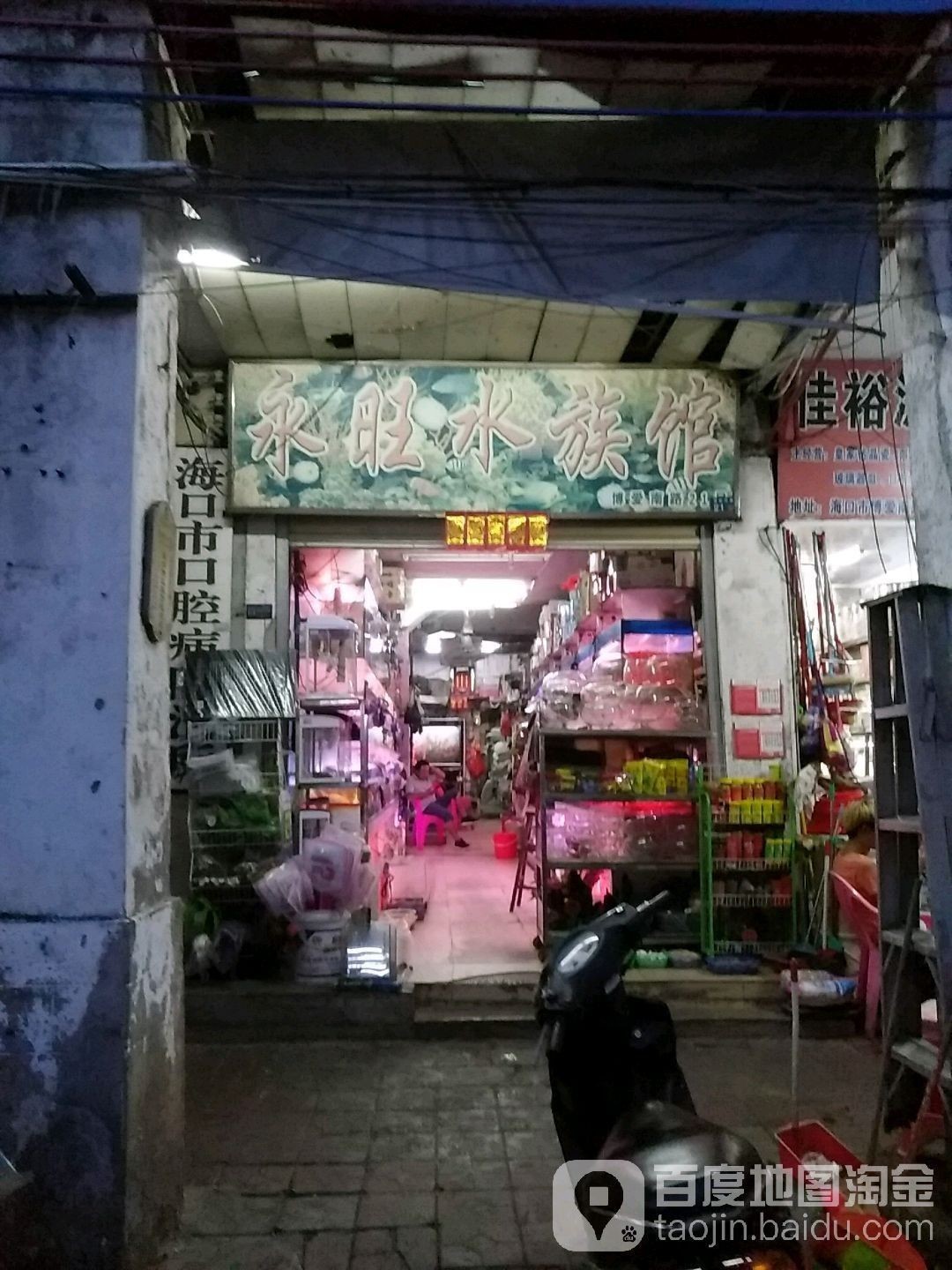 海口哪個(gè)水族館龍魚(yú)好？祥龍魚(yú)場(chǎng)龍魚(yú)（海南省海口市祥龍魚(yú)場(chǎng)） 海口哪個(gè)水族館龍魚(yú)好？祥龍魚(yú)場(chǎng)龍魚(yú)（海南省海口市祥龍魚(yú)場(chǎng)） 龍魚(yú)百科 第9張