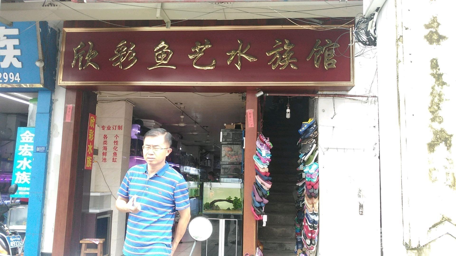 海口哪個(gè)水族館龍魚(yú)好？祥龍魚(yú)場(chǎng)龍魚(yú)（海南省海口市祥龍魚(yú)場(chǎng)） 海口哪個(gè)水族館龍魚(yú)好？祥龍魚(yú)場(chǎng)龍魚(yú)（海南省海口市祥龍魚(yú)場(chǎng)） 龍魚(yú)百科 第12張