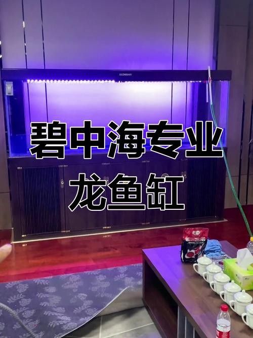 龍魚缸頂燈擺放示意圖（——龍魚缸頂燈擺放示意圖）