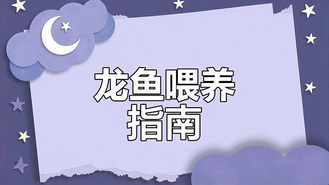 紅龍魚(yú)多久喂一次？（紅龍魚(yú)多久喂一次）
