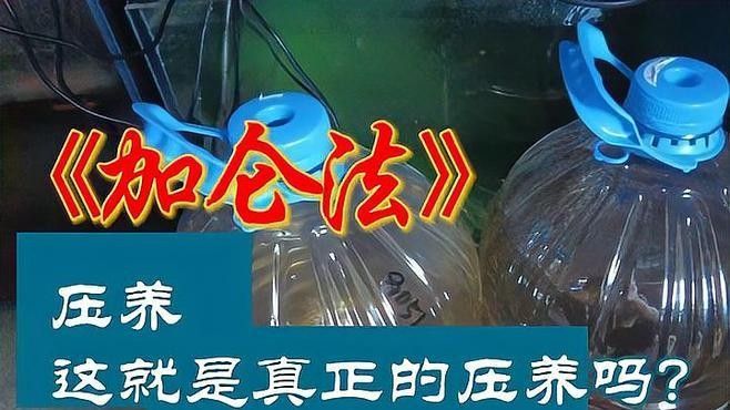 加侖法發(fā)色具體步驟是什么？（加侖法發(fā)色是一種通過(guò)使用特定化學(xué)物質(zhì)改變頭發(fā)顏色的方法）