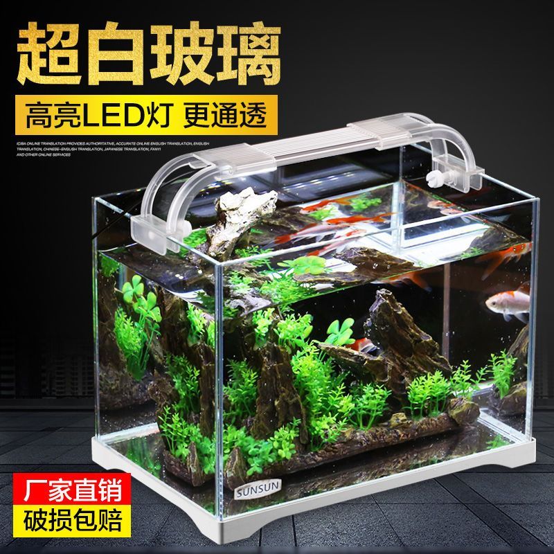 龍魚最低能承受多少度（龍魚最低能承受多少度的水溫）（龍魚對水溫的耐受能力影響龍魚的健康狀況會影響龍魚健康狀況）