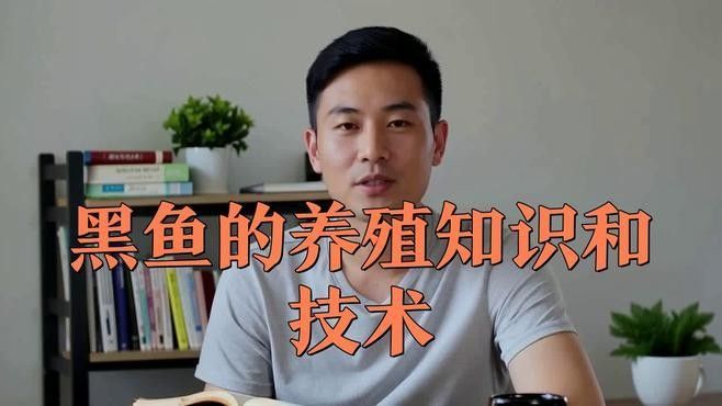 黑色龍魚的市場價格波動大嗎？（黑色龍魚市場價格波動時需要從以下幾個方面進行分析）
