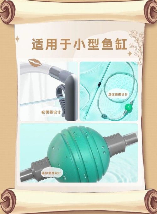 白玉金龍魚擺件如何保養(yǎng)？（ 白玉金龍魚擺件如何保養(yǎng)？（\
