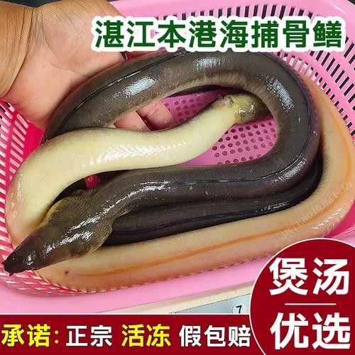 杜龍魚的市場價格是多少（杜龍魚市場價格受多種因素影響杜龍魚市場價格受到多種影響）
