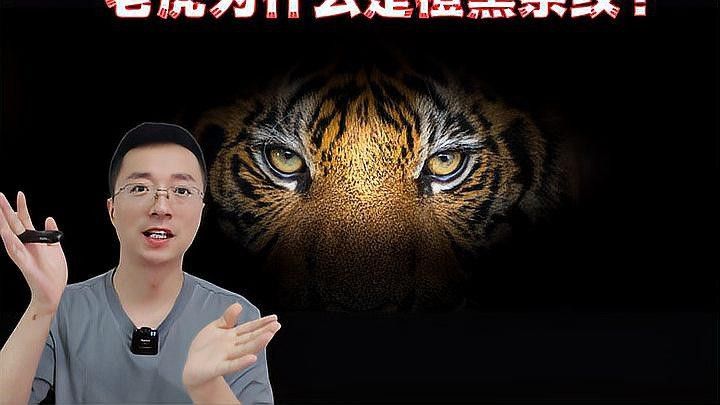 龍魚和戰船哪個更有觀賞性（龍魚和戰船哪個更適合新手龍魚和戰船哪個更適合新手）