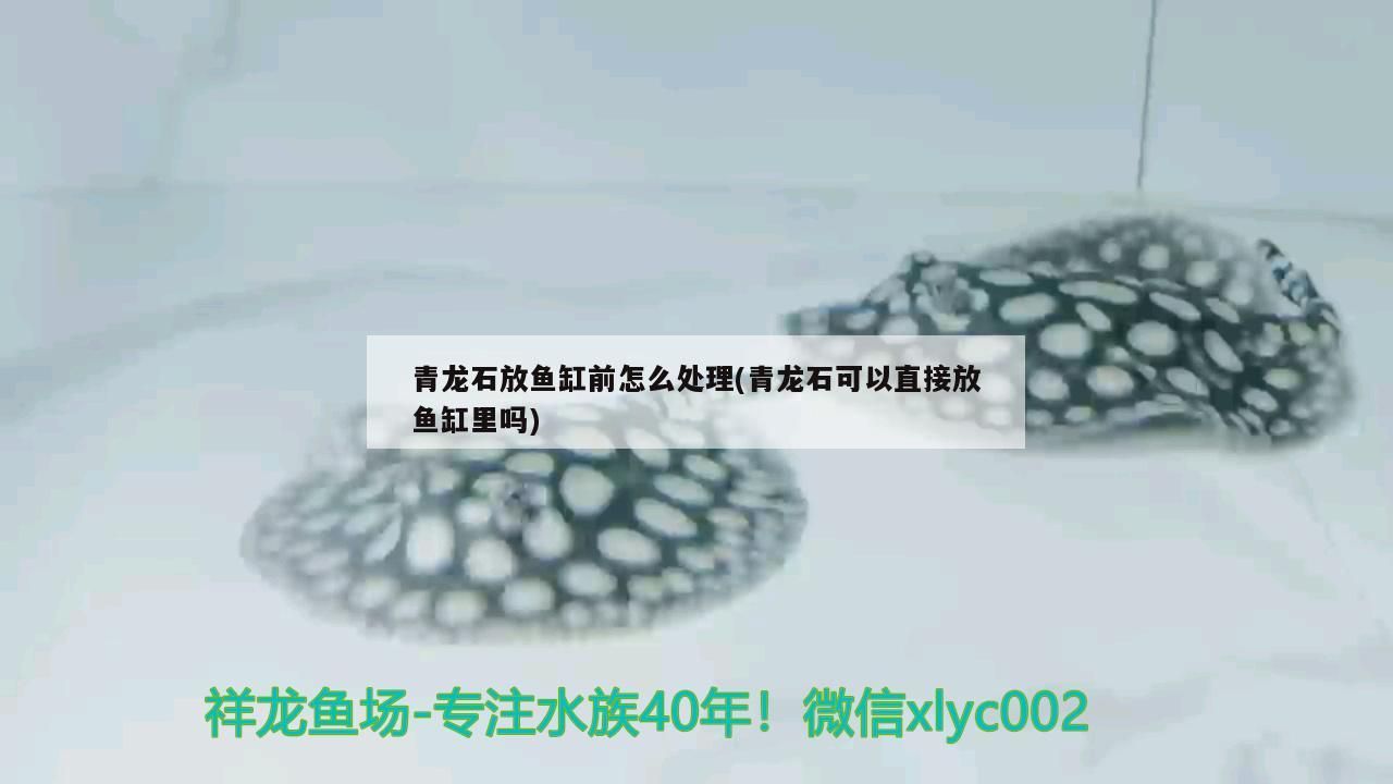 青龍石放魚缸前怎么處理(青龍石可以直接放魚缸里嗎)（青龍石放魚缸前怎么處理） 青龍石放魚缸前怎么處理(青龍石可以直接放魚缸里嗎)（青龍石放魚缸前怎么處理） 觀賞魚百科