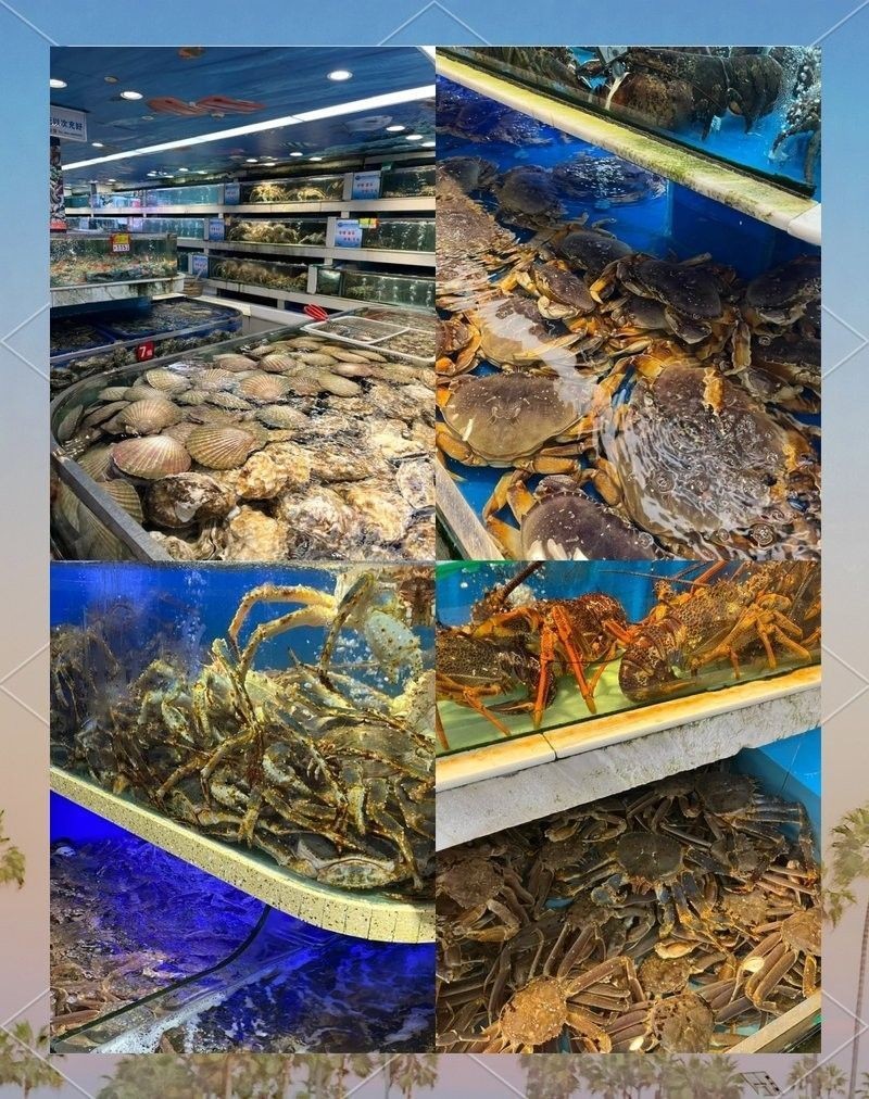 成都龍魚批發(fā)市場(chǎng)的營(yíng)業(yè)時(shí)間（成都龍魚批發(fā)市場(chǎng)） 成都龍魚批發(fā)市場(chǎng)的營(yíng)業(yè)時(shí)間（成都龍魚批發(fā)市場(chǎng)） 龍魚百科 第1張