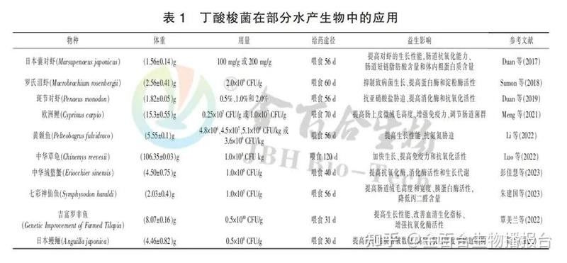 有哪些益生菌適合龍魚？（魚日記搜狐新聞聽成員對益生菌有著極高的要求）